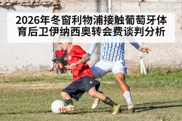 2026年冬窗利物浦接触葡萄牙体育后卫伊纳西奥转会费谈判分析